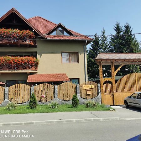Hotel Sepsi Relax Sfântu-Gheorghe Zewnętrze zdjęcie