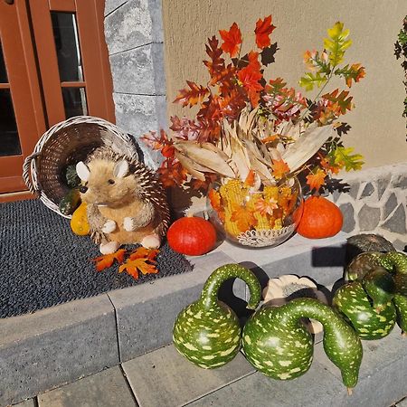 Hotel Sepsi Relax Sfântu-Gheorghe Zewnętrze zdjęcie