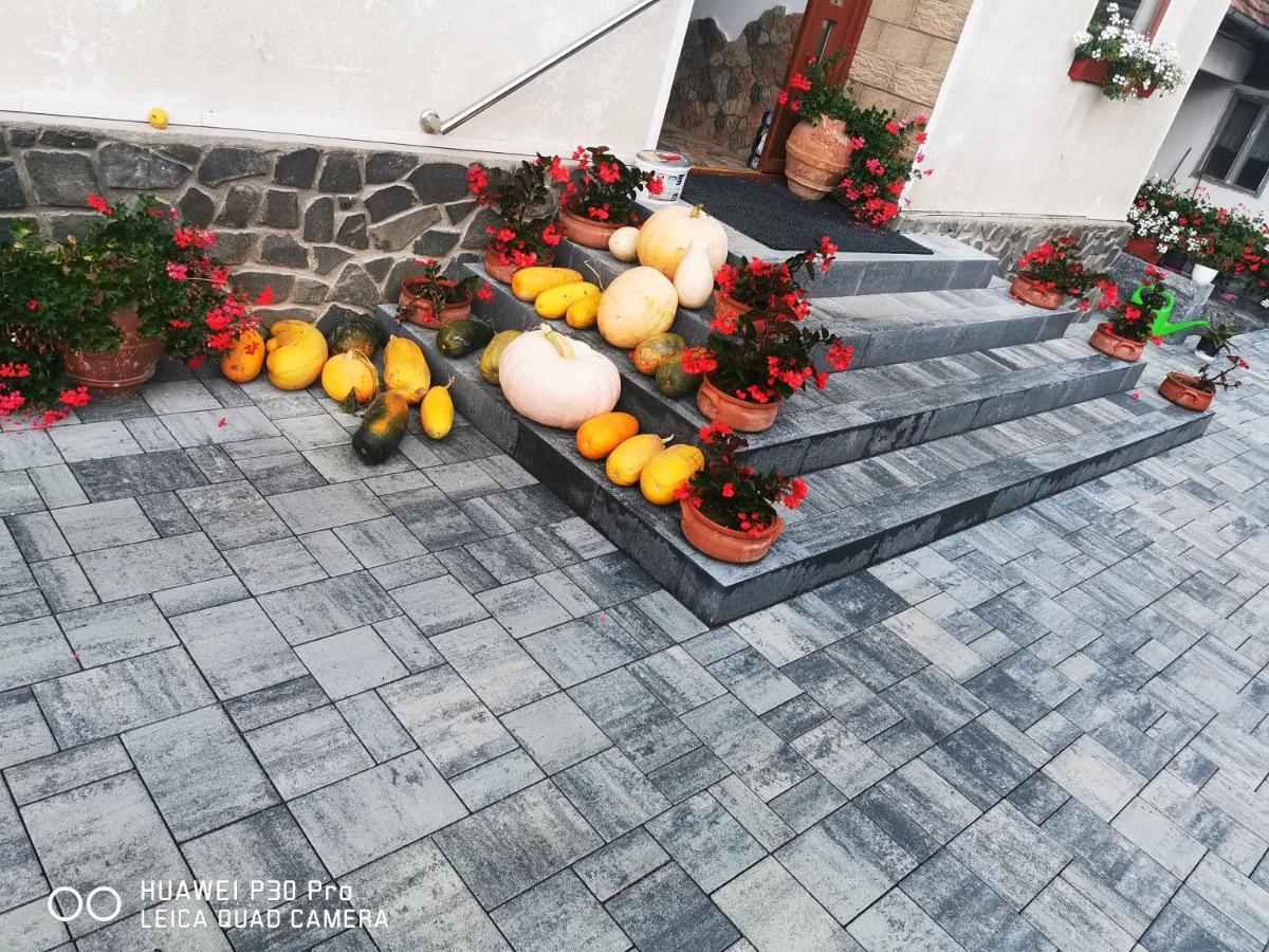 Hotel Sepsi Relax Sfântu-Gheorghe Zewnętrze zdjęcie