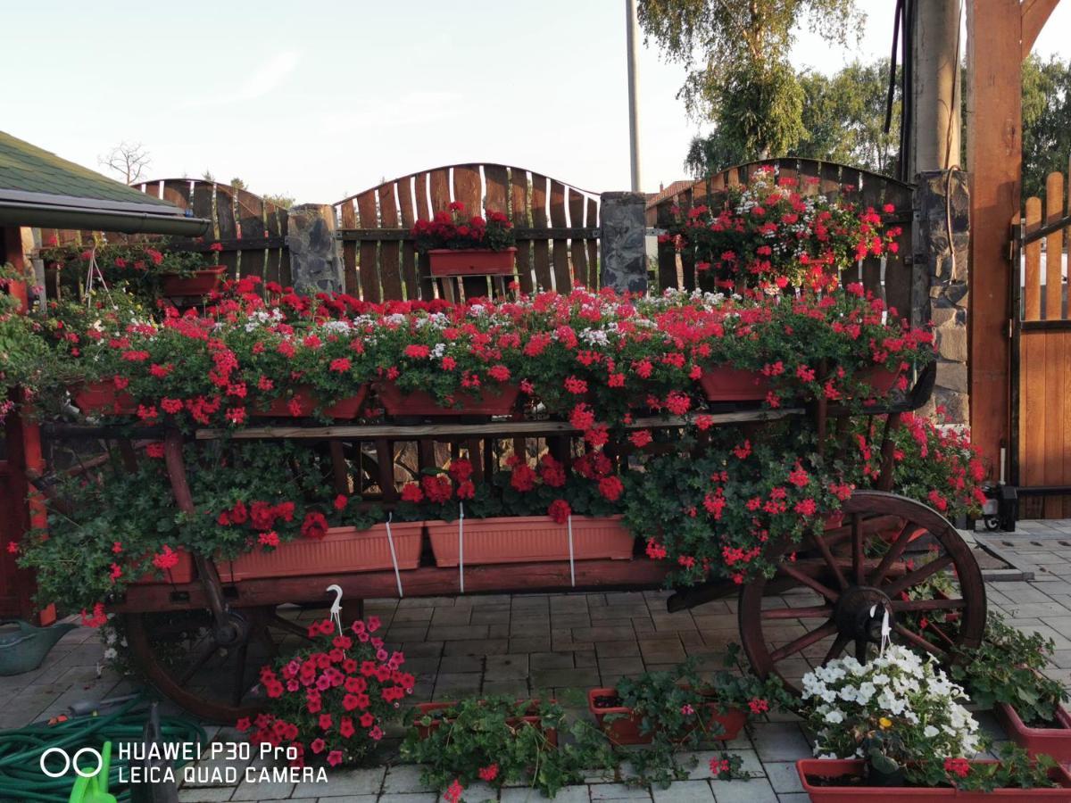 Hotel Sepsi Relax Sfântu-Gheorghe Zewnętrze zdjęcie