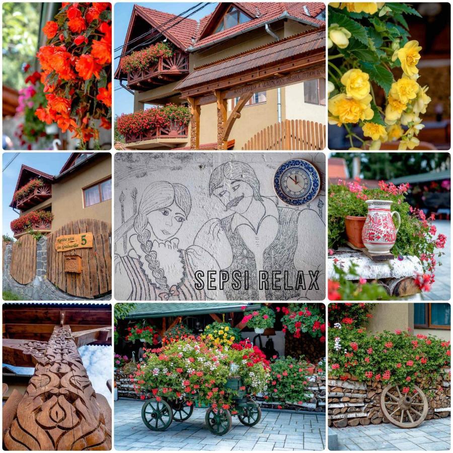 Hotel Sepsi Relax Sfântu-Gheorghe Zewnętrze zdjęcie
