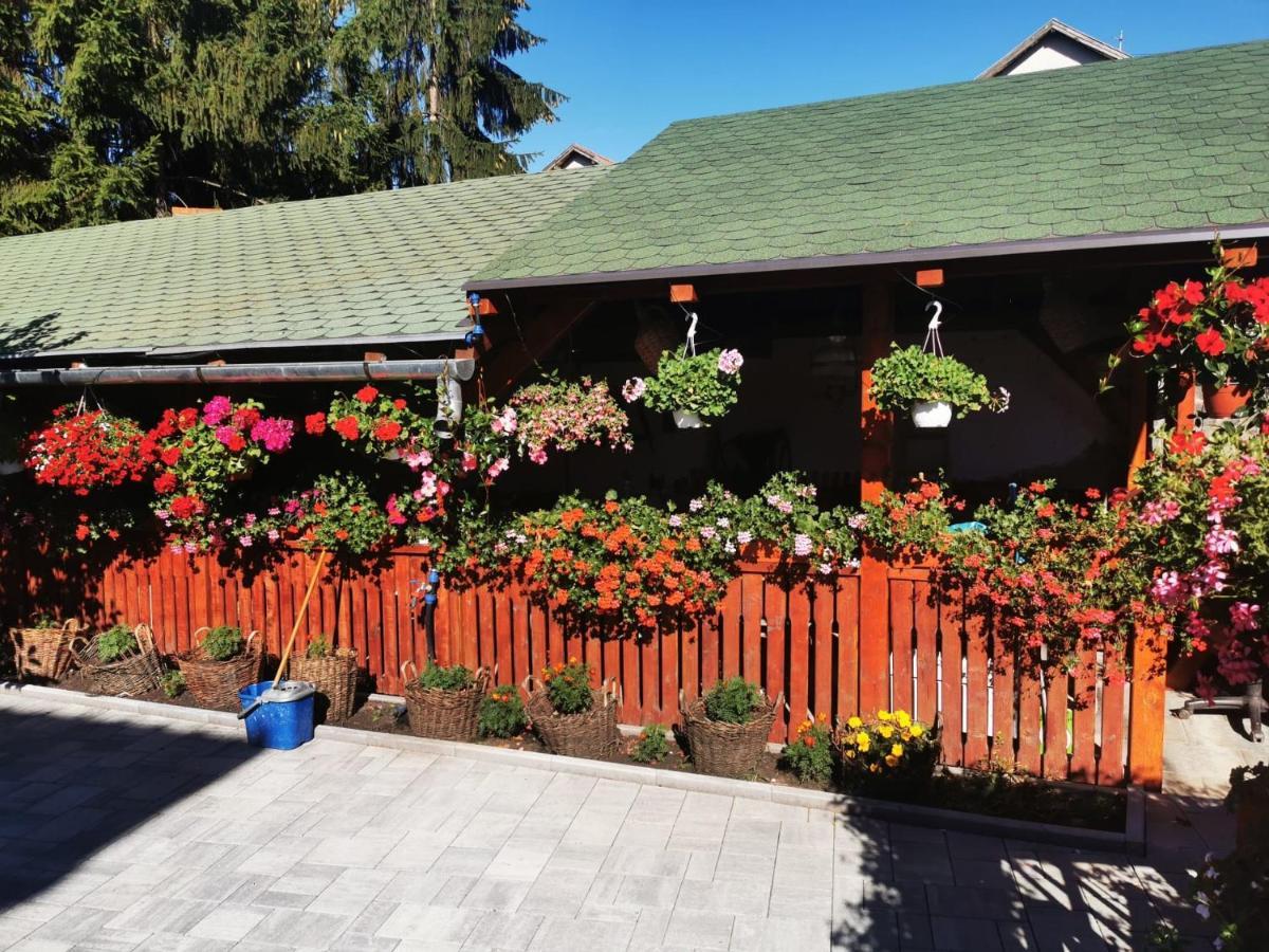 Hotel Sepsi Relax Sfântu-Gheorghe Zewnętrze zdjęcie