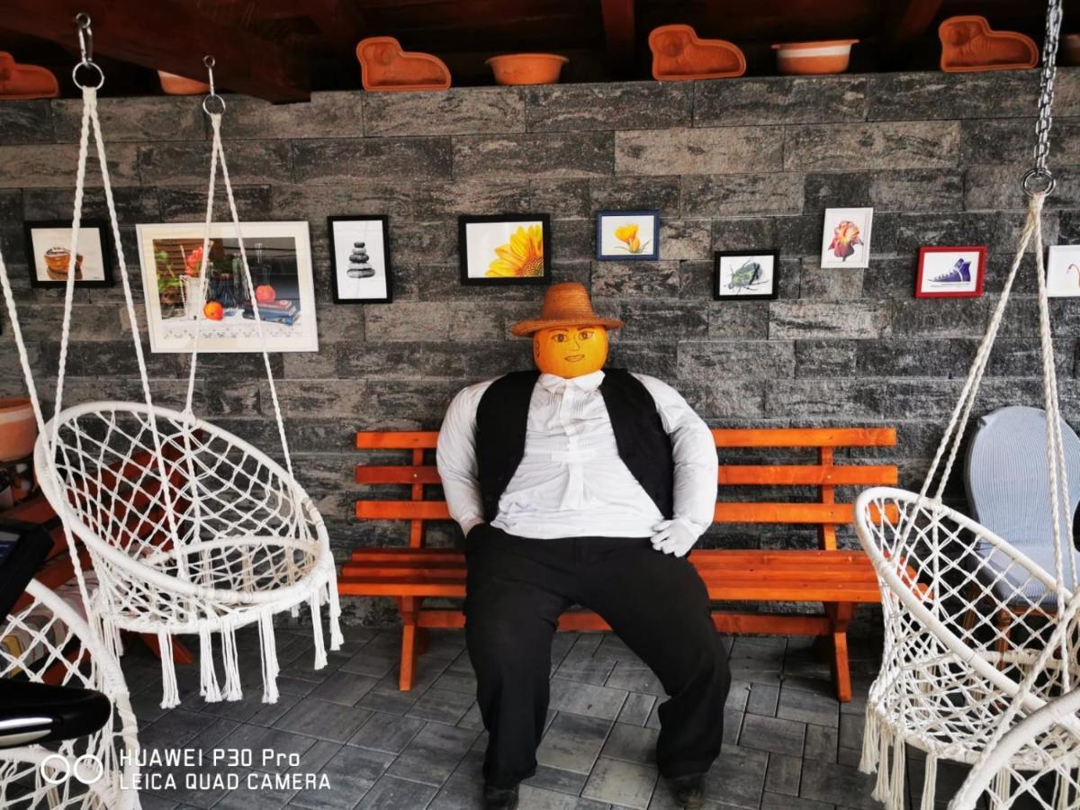 Hotel Sepsi Relax Sfântu-Gheorghe Zewnętrze zdjęcie