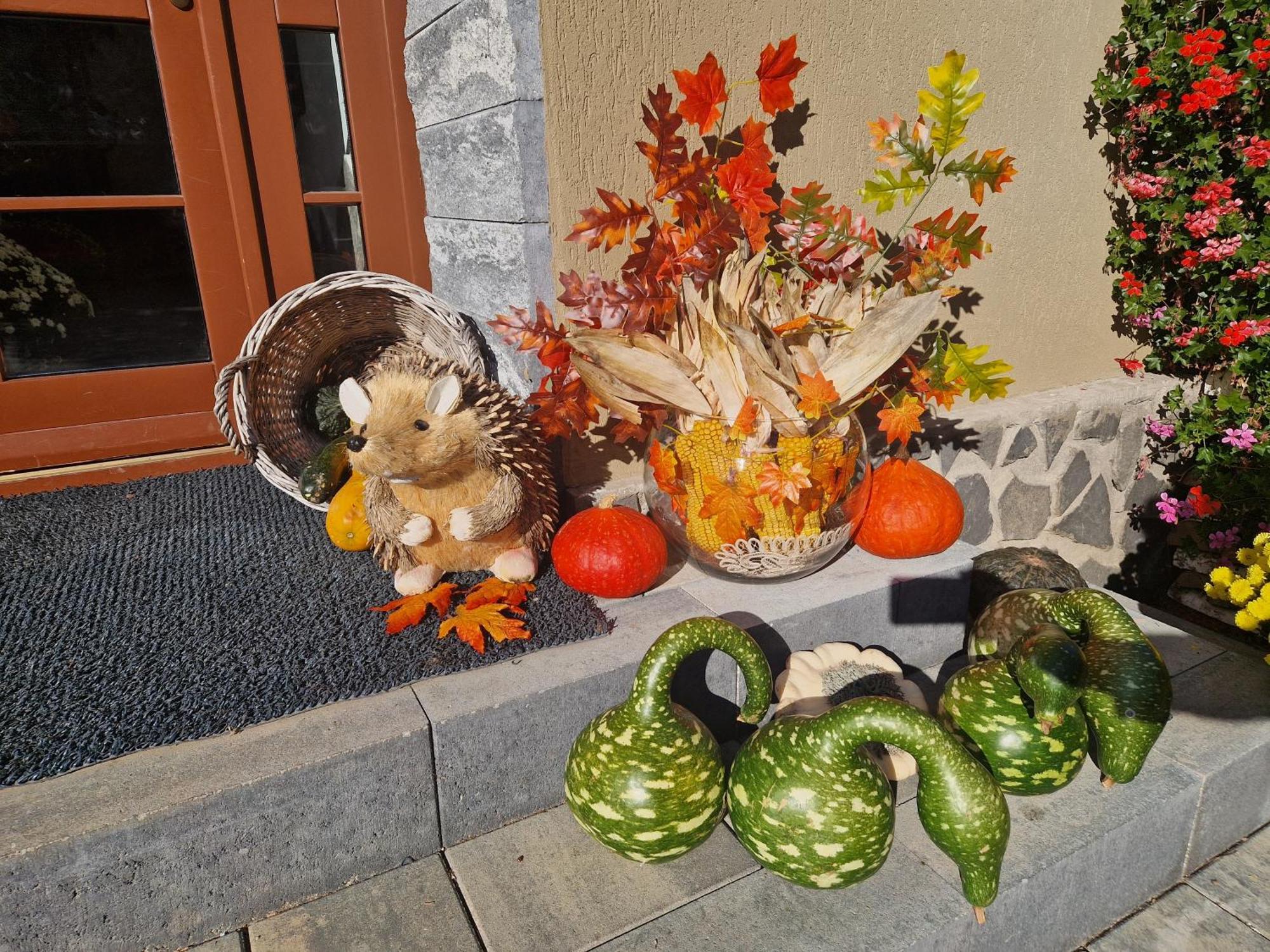 Hotel Sepsi Relax Sfântu-Gheorghe Zewnętrze zdjęcie